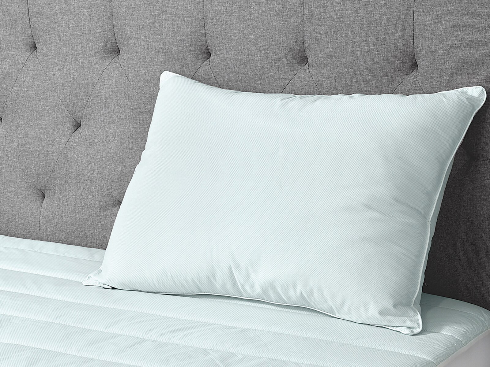 Sealy Cool Touch Pillow